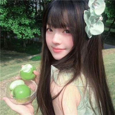 八公物语